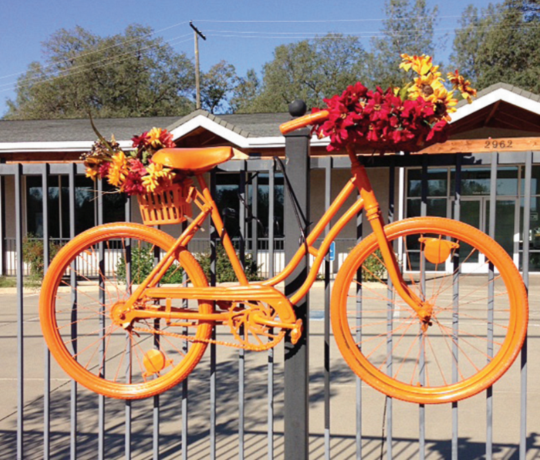 Community Projects Antique Cottage and Garden