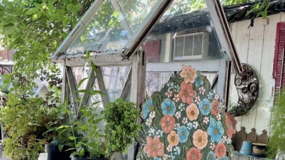 Garden Decor & Rare Plants